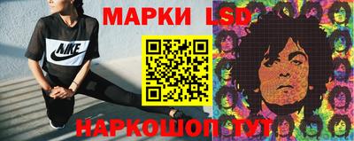прущие крисы Новозыбков