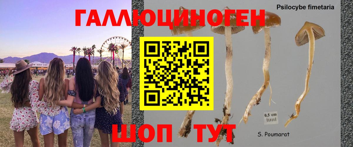 Галлюциногенные грибы MAGIC MUSHROOMS  Вход с VPN  Сочи 